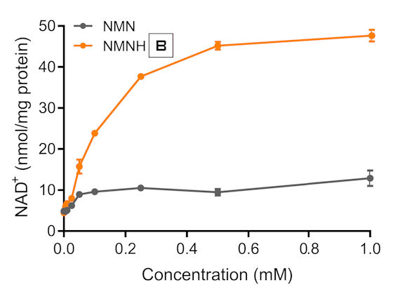NMNH (amorfný) vs. NMN